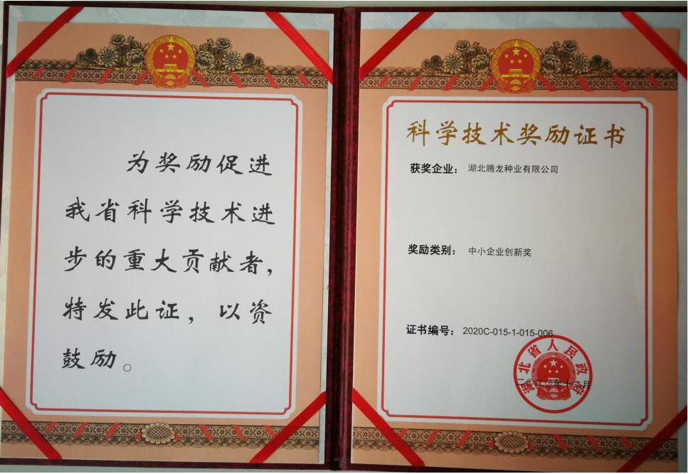 兩個獎項(xiàng)